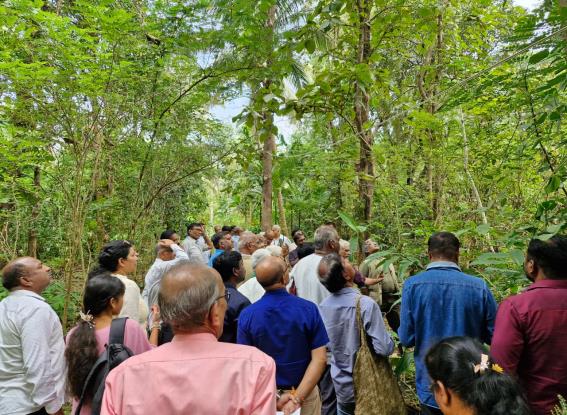 Community farming and forest stewardship