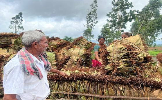 Climate-smart farming training with rural farmers