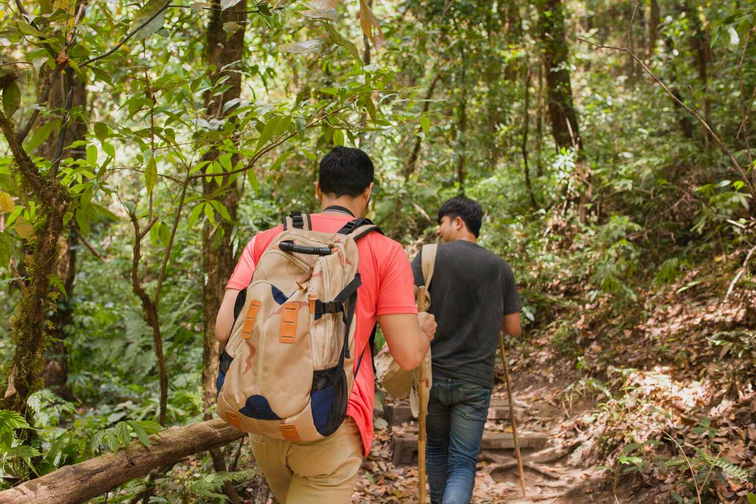 Community Reforestation
